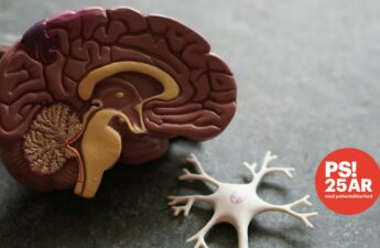 Model af halvdelen af en menneskehjerne samt PS! 25 års jubilæums logo indsat